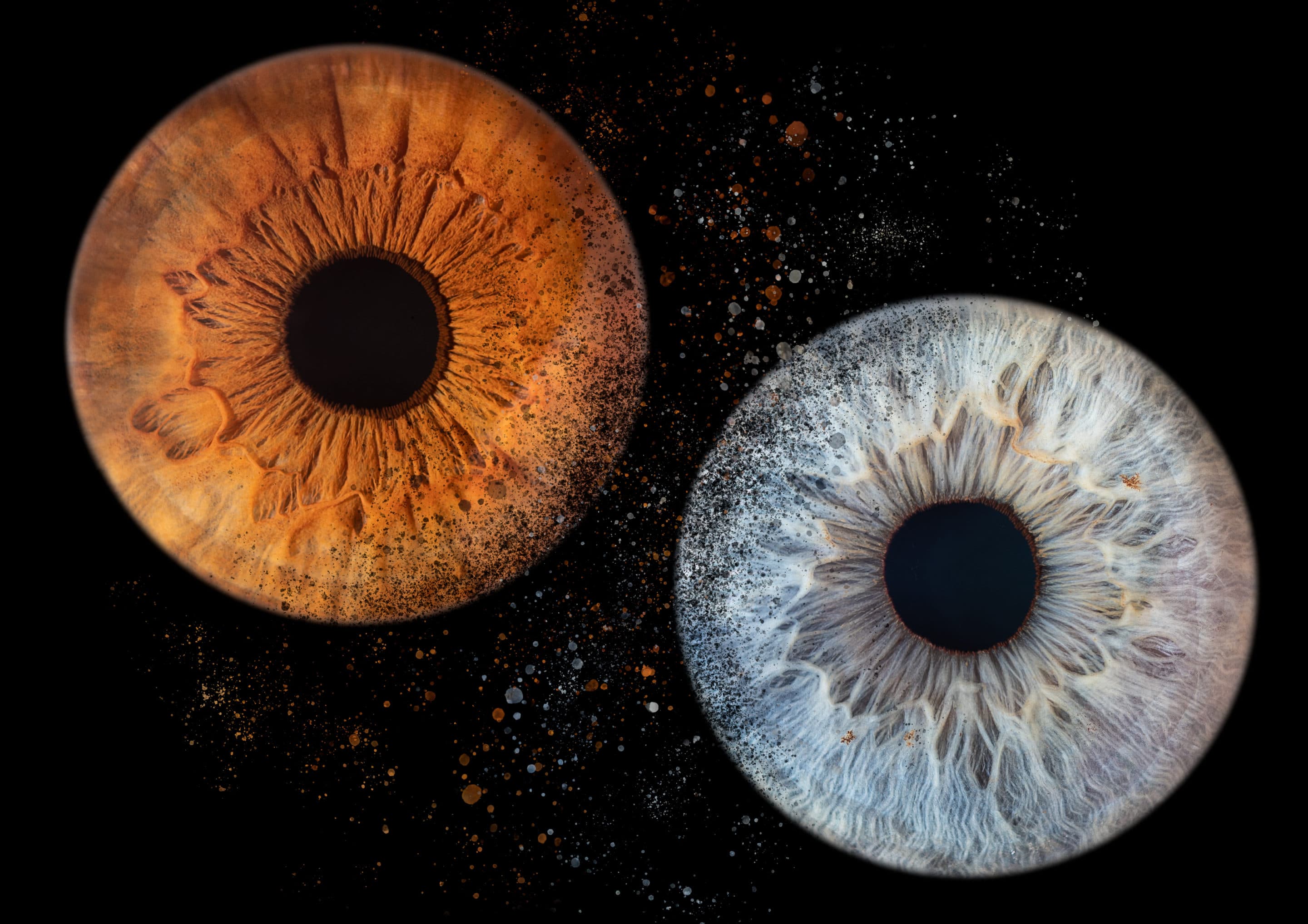Romain Bebon photo d'un iris oeil macro chez romain bebon photographe