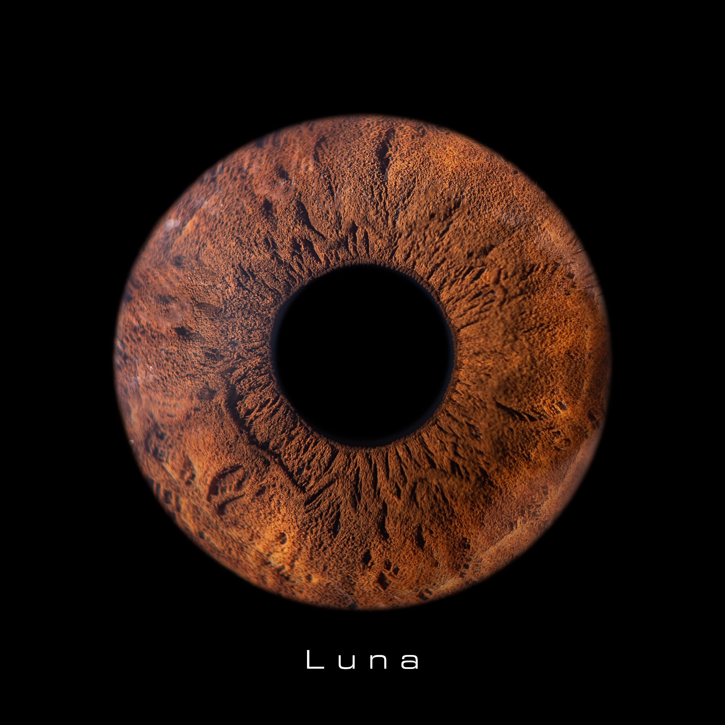 Luna photo d'un iris oeil macro chez romain bebon photographe